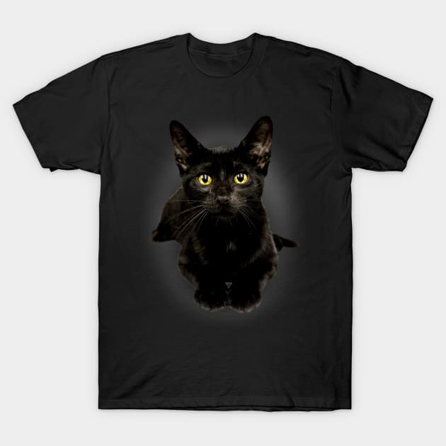 Black Cat Yellow Eyes Cute Kitty For Cat Owners T-Shirt by Blink_Imprints10